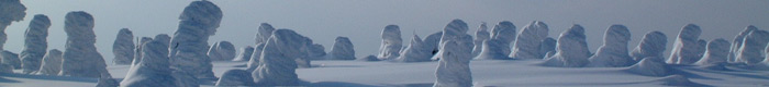 蔵王の樹氷写真画像