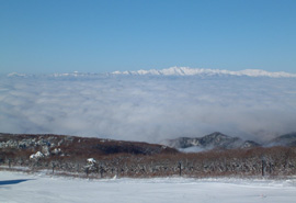 蔵王冬の雲海画像