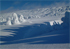 山形蔵王坊平１月の樹氷