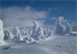 山形蔵王坊平１月の樹氷